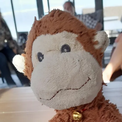 talkie's author avatar