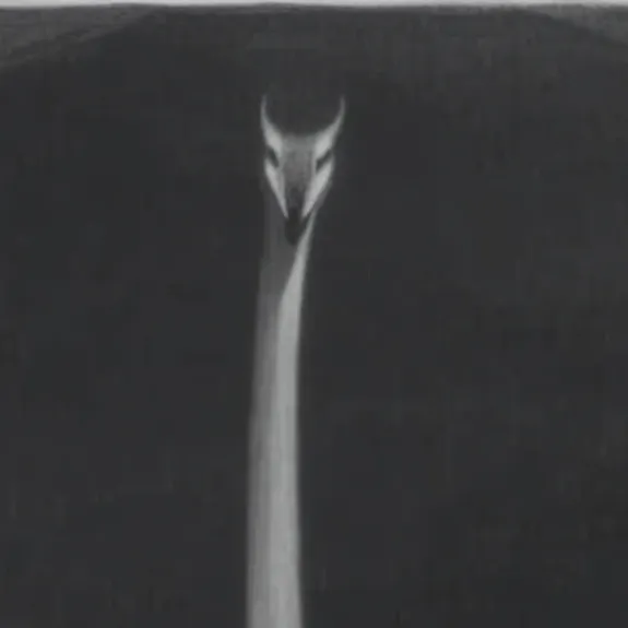 chat with ai character: ???