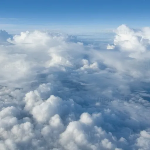 creator ~TheTalkiemaker~'s avatar