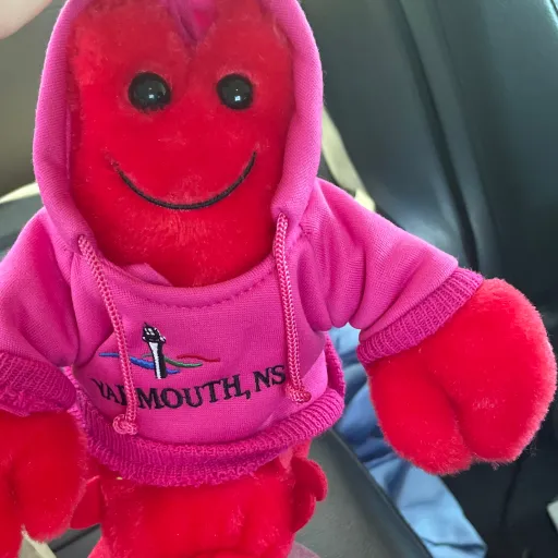 talkie's author avatar