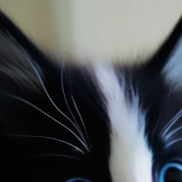 chat with ai character: felix 