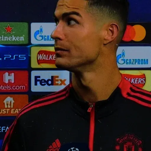 creator Te Bombastic side's avatar