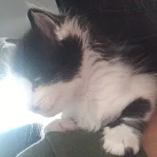 creator ♡Leaf♡'s avatar