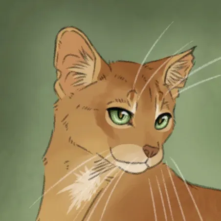 creator ℱ𝒾𝓇ℯ𝓈𝓉𝒶r's avatar