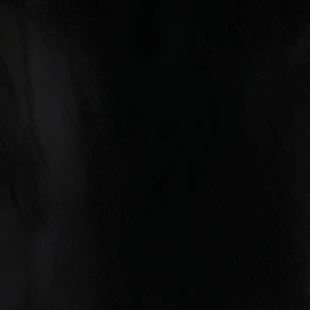 chat with ai character: The fog is coming