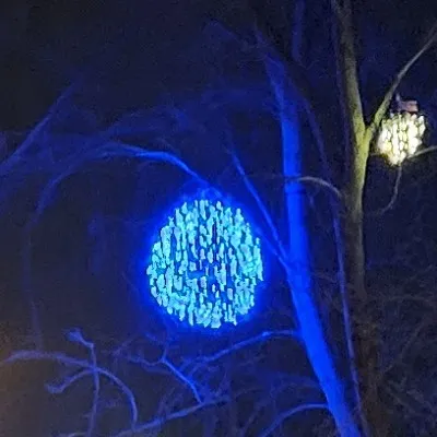 creator Mila_moonie's avatar