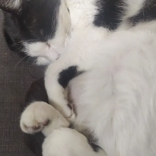 creator suki(jean)'s avatar