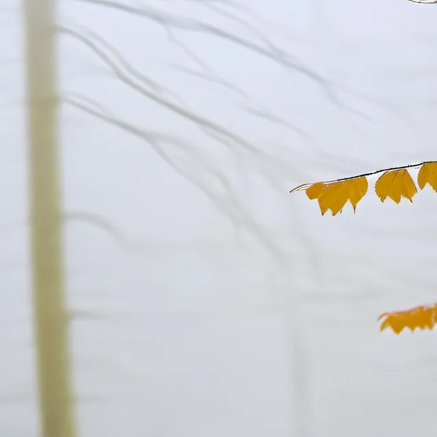 chat with ai character: 100000000000000000