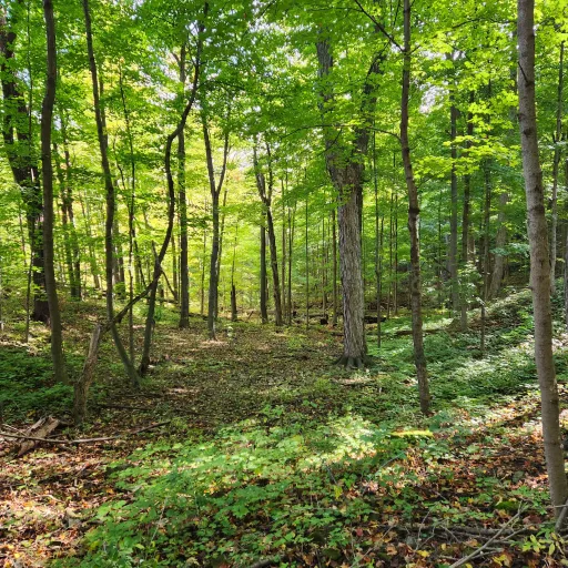 creator spitfirebullet's avatar