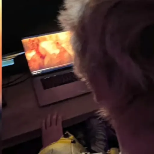 talkie's author avatar