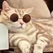 creator What Agnes!♡♥︎♡♥︎!'s avatar