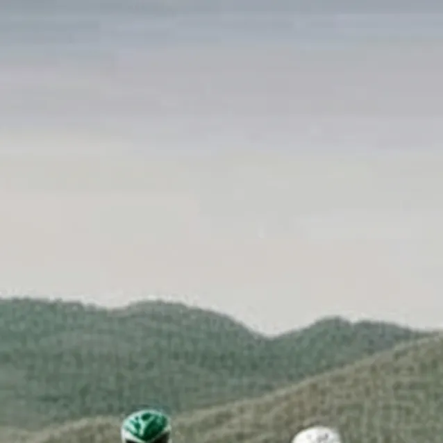 chat with ai character: Zyuranger Universe