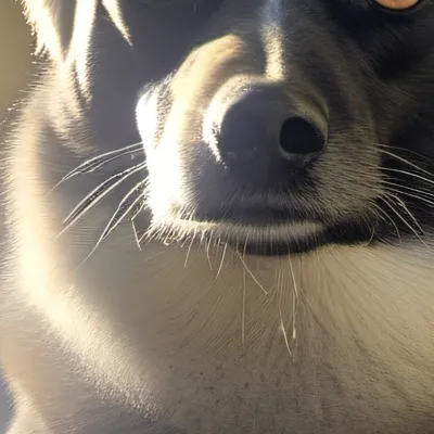 chat with ai character: Justin