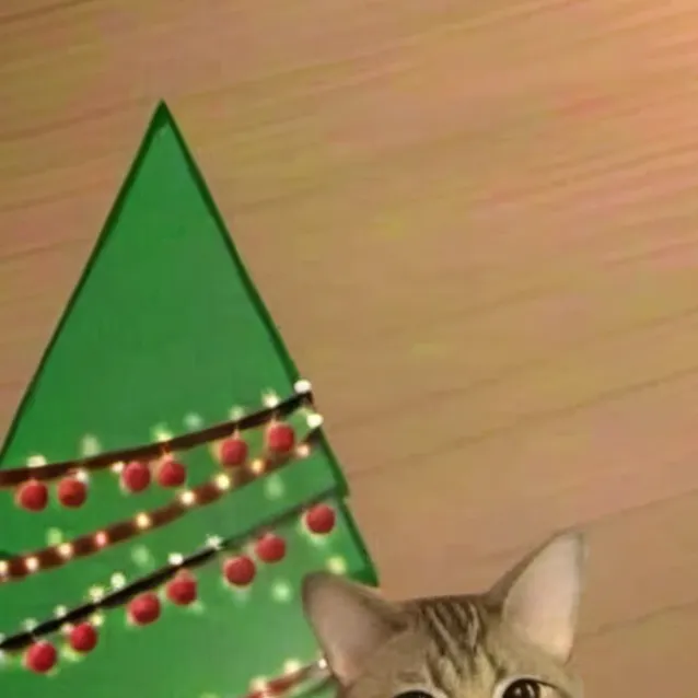 chat with ai character: Mexican cat