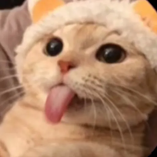 creator luna eats toast 🌸's avatar