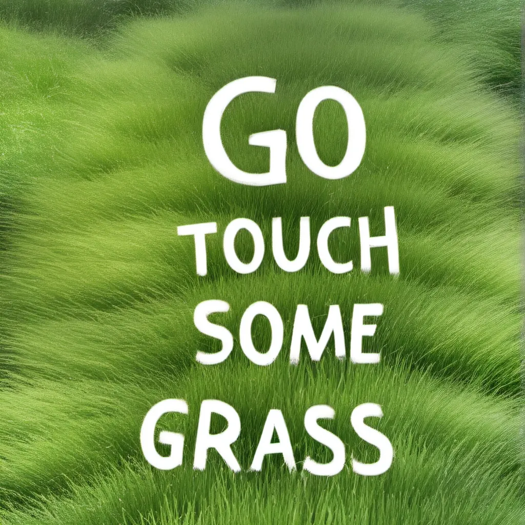 chat with ai character: Go touch some gras