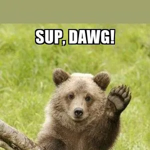 creator R/Coolbear24Beroar's avatar