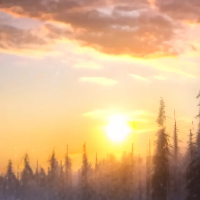 chat with ai character: Class 1-A Camping