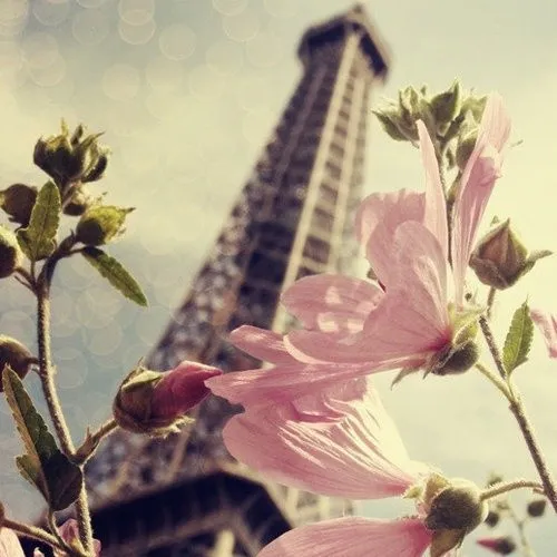 creator Odette Mérante's avatar