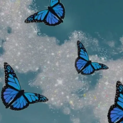 creator Starlight/Kalista's avatar