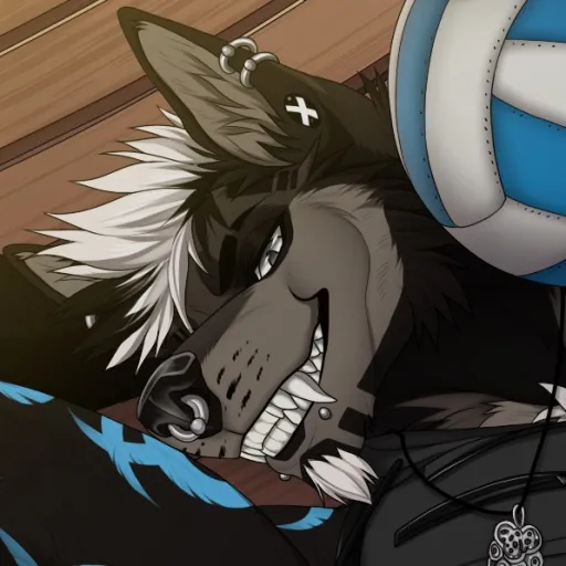 talkie's author avatar