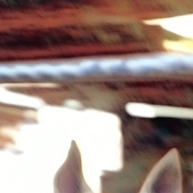 chat with ai character: hanna