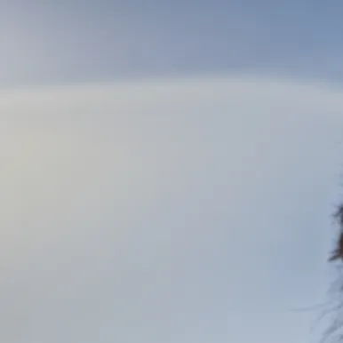 chat with ai character: error 