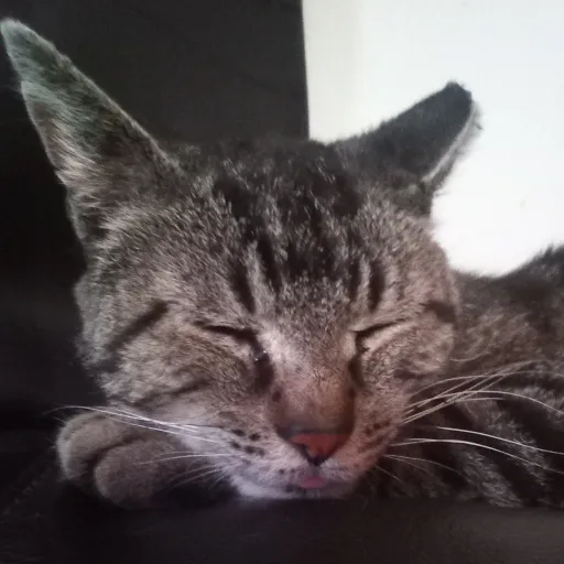 creator Emma wall's avatar