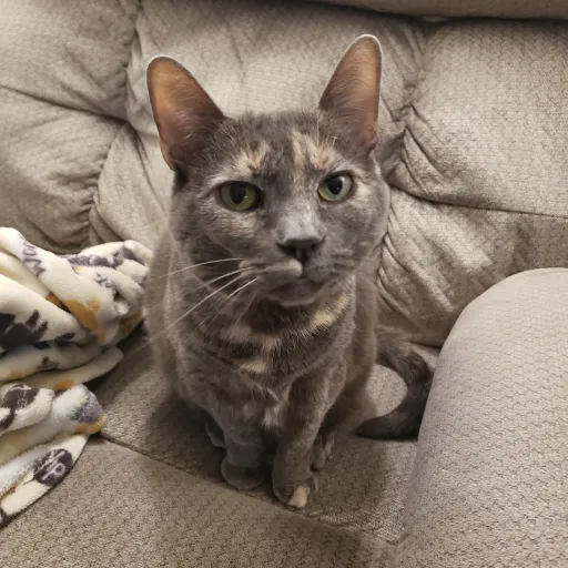 creator Kayden:)'s avatar