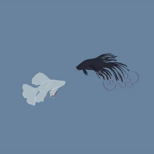 creator ♡M&M♡'s avatar