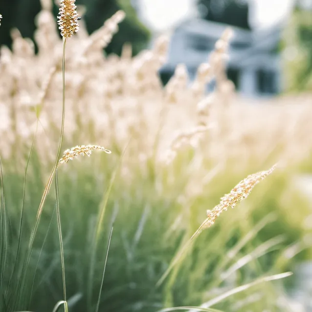 chat with ai character: grass