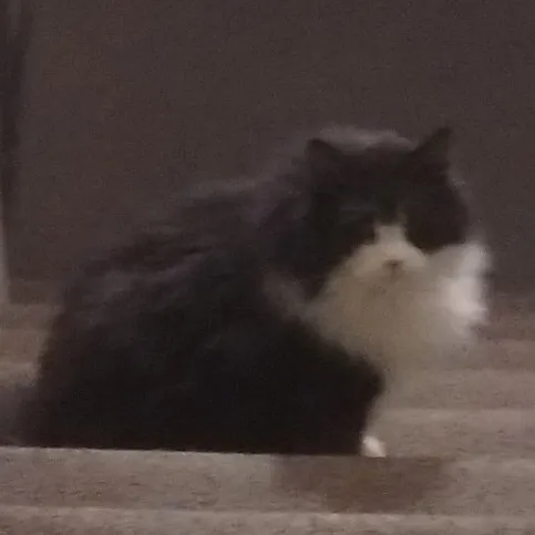 creator Jax......'s avatar