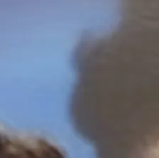 chat with ai character: Wilbur 