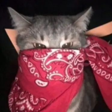 creator KittyWitDaBlicky's avatar