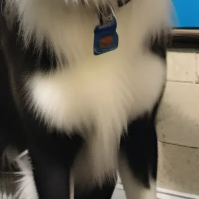 chat with ai character: Sparky