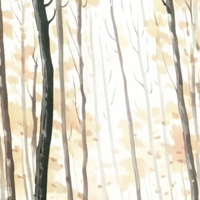 chat with ai character: '76 Lincoln Conti'