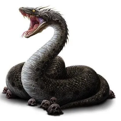 creator the viper's avatar