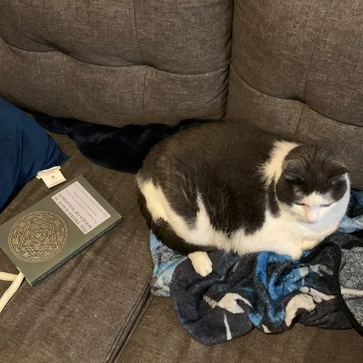 creator Redd_Rewop's avatar