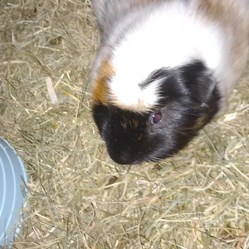 creator freddie kennedy's avatar