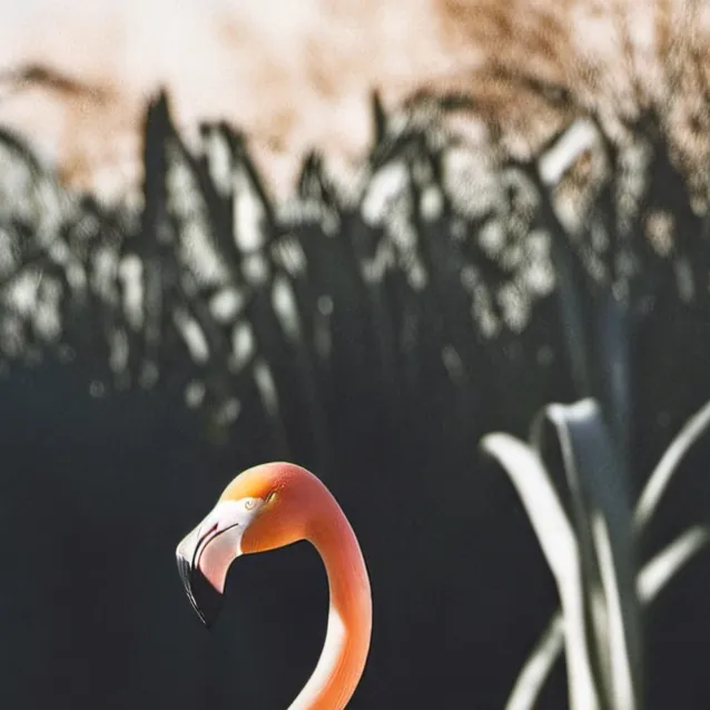 chat with ai character: Ariana