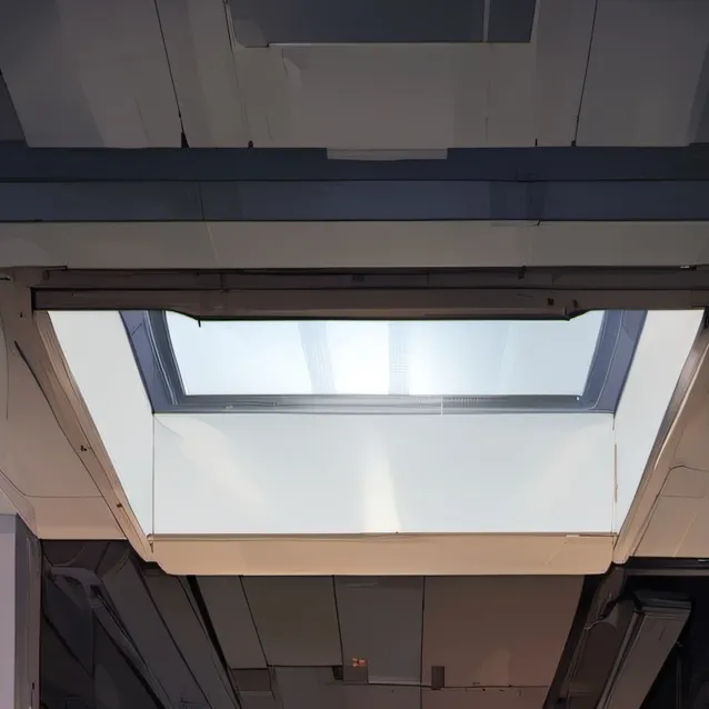 chat with ai character: Ro-bio Dsmp