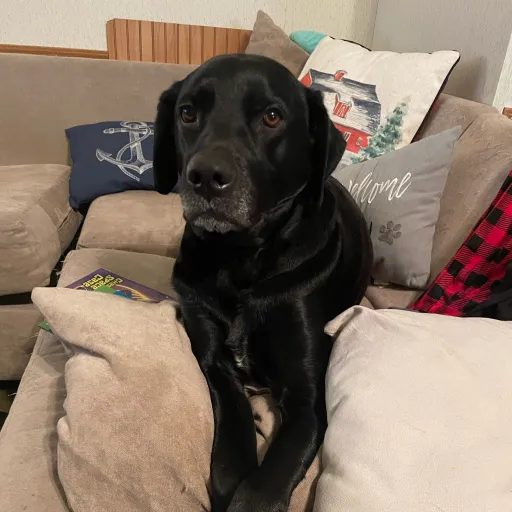 creator My name is gang be's avatar