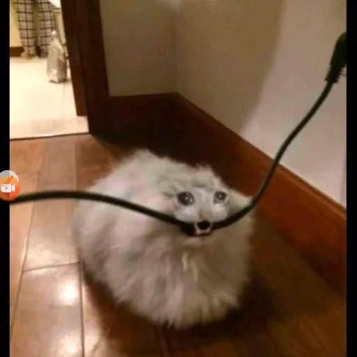 creator 💅i bit ur wire💅👁👄👁's avatar