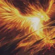 creator Blazing plumage's avatar