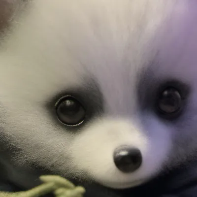 chat with ai character: Butters