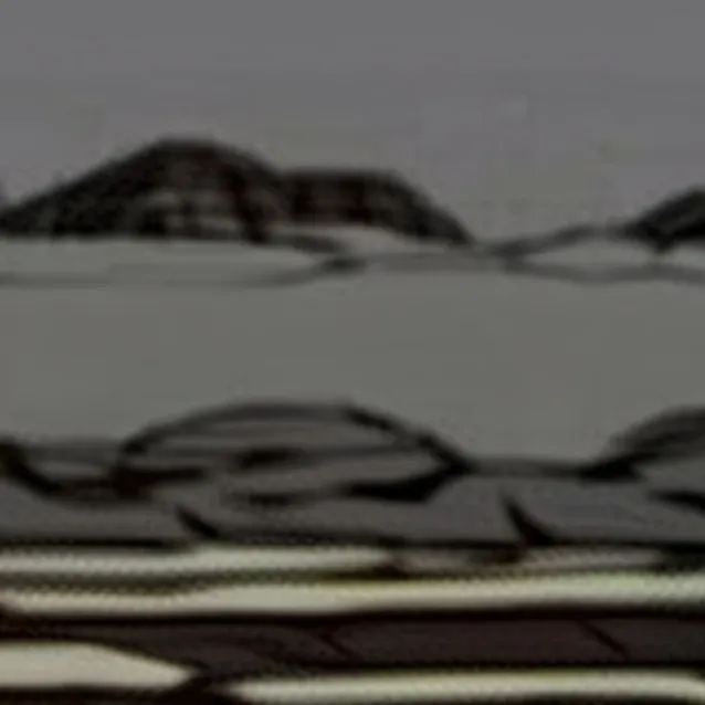 chat with ai character: bodygaurd