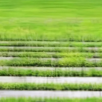 chat with ai character: (^o^)GRASS