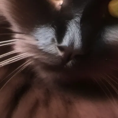 chat with ai character: Cally