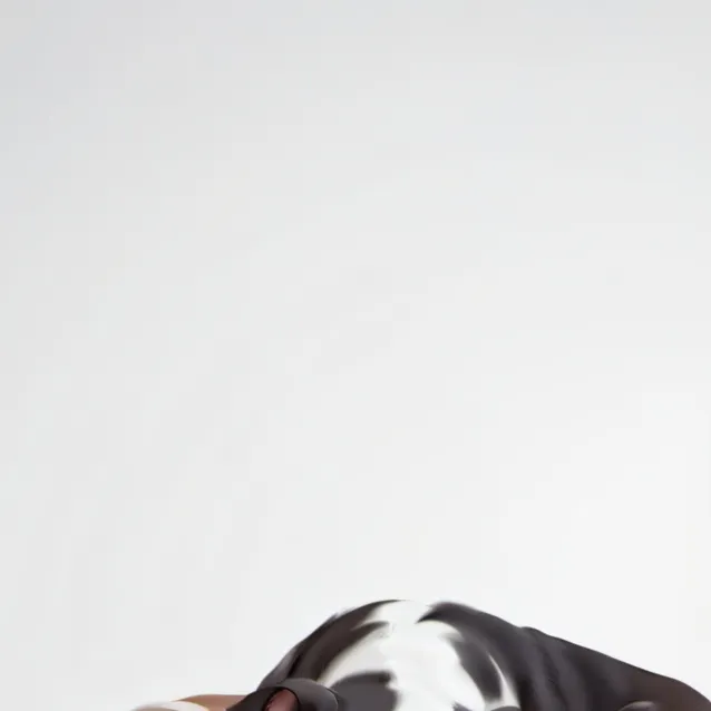 chat with ai character: Teddy 