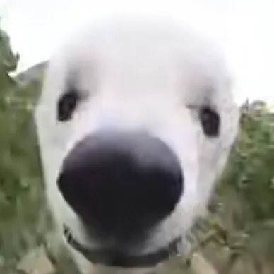 creator ..saber..'s avatar